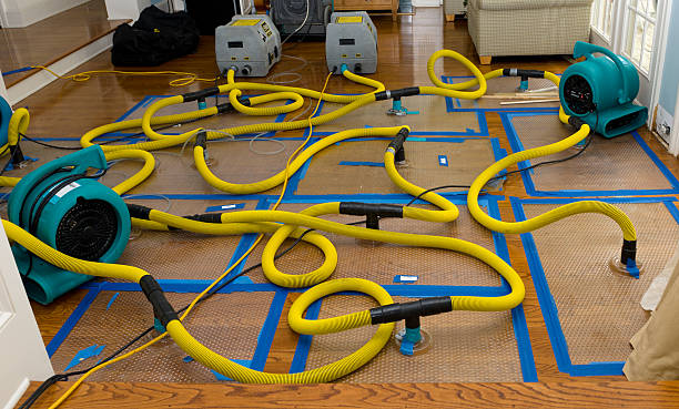 Professional Crawl Space Water Removal technician working in Darden, TN